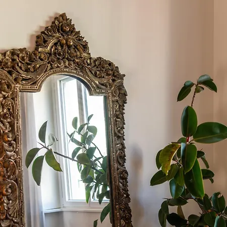 - Elegant Apartment